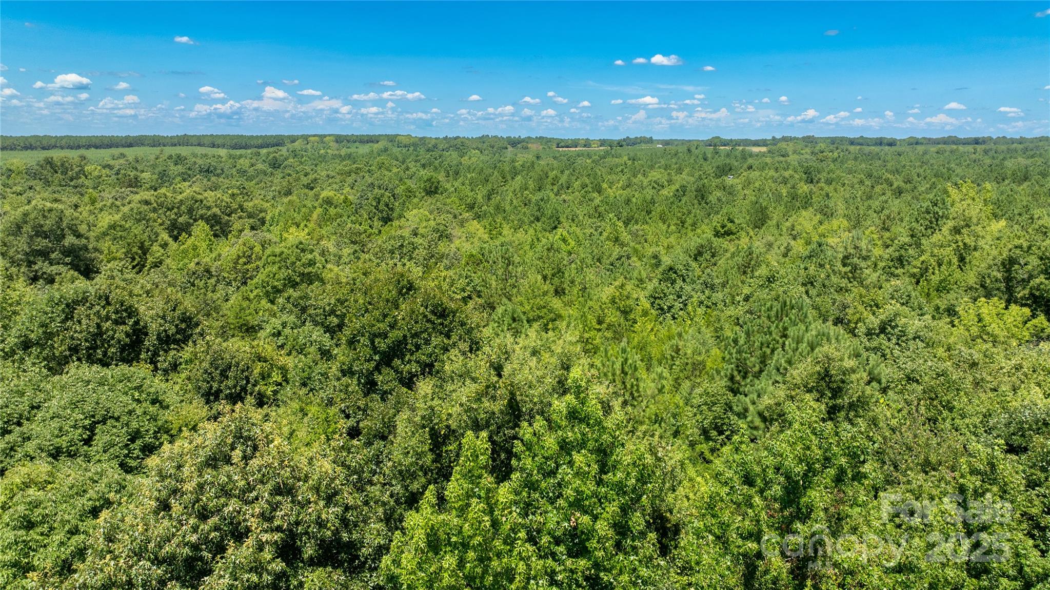 0 Daystar Road, Unit 7 Lancaster, SC 29720 - Photo 19 of 20