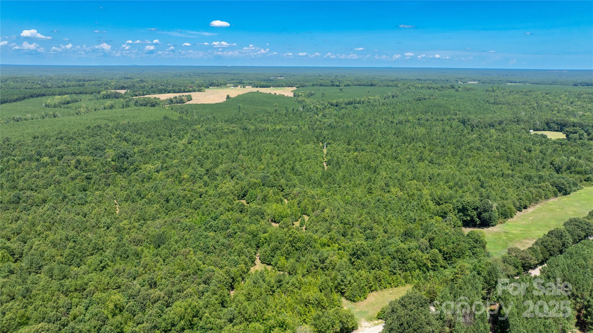 0 Daystar Road, Unit 7 Lancaster, SC 29720 - Photo 4 of 20