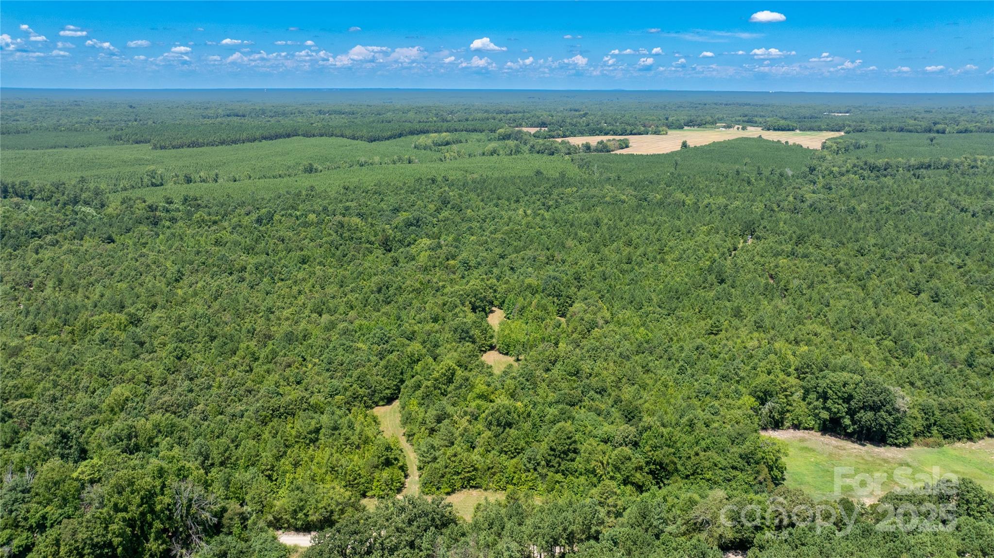 0 Daystar Road, Unit 7 Lancaster, SC 29720 - Photo 5 of 20