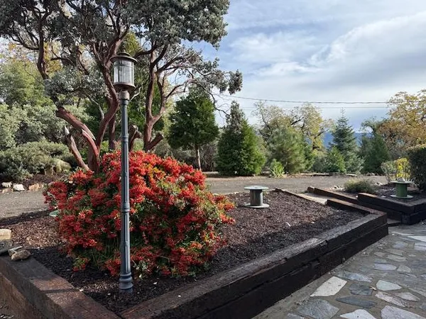 a view of a backyard