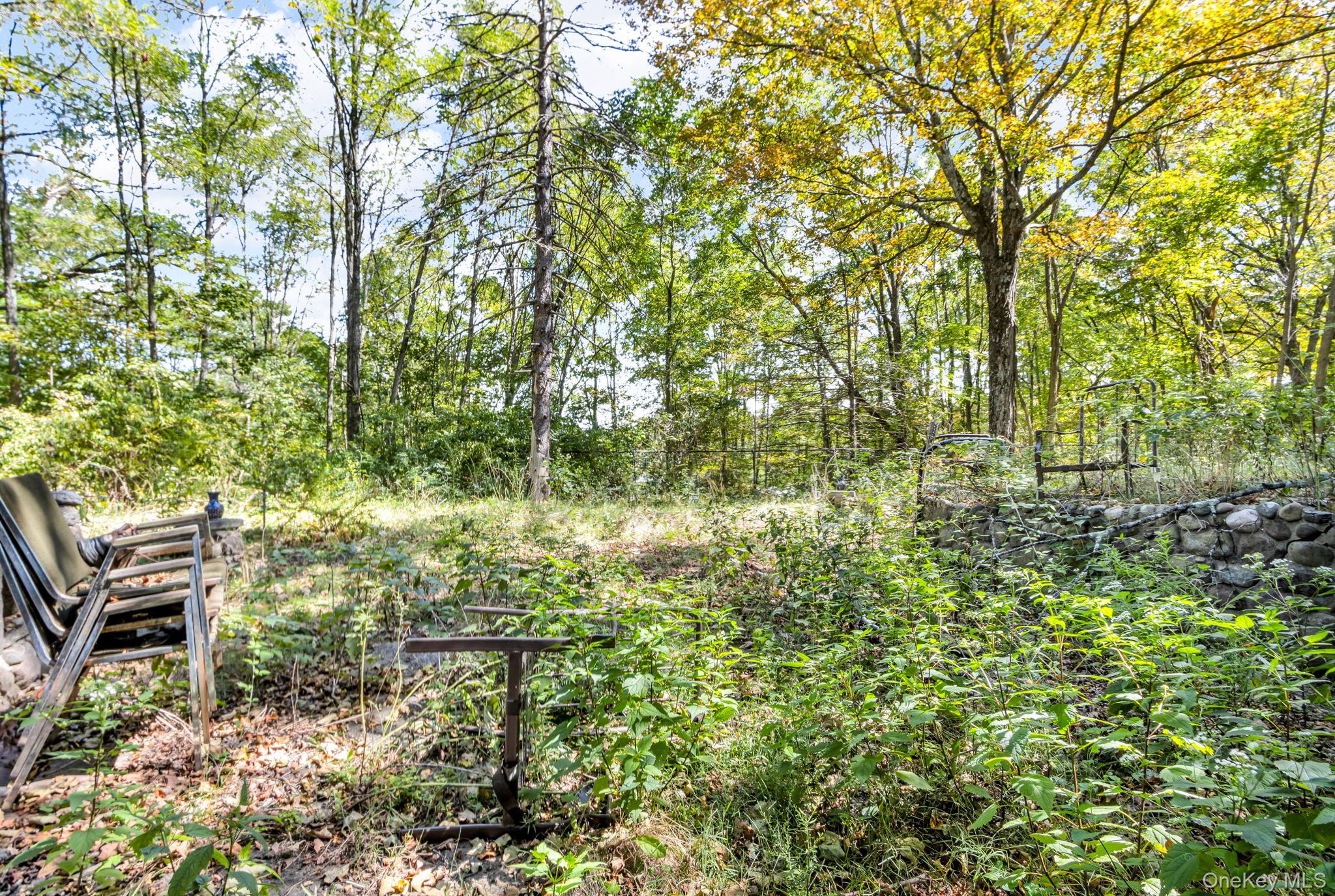 31 Foster Road Cairo, NY 12413 - Photo 4 of 38 a backyard of a house with lots of green space and fountain