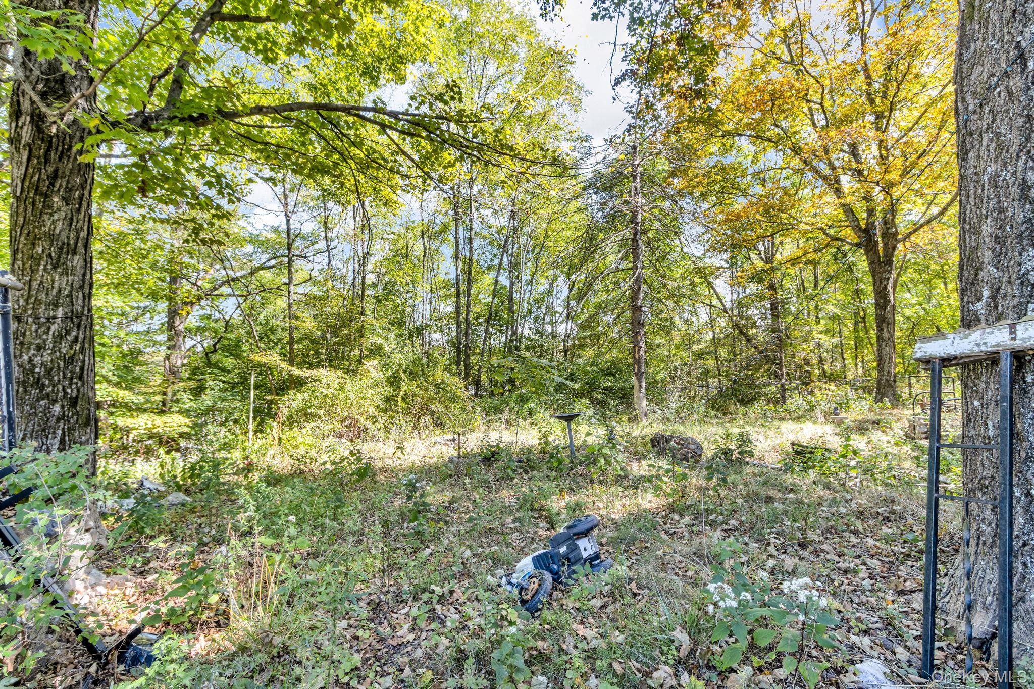 31 Foster Road Cairo, NY 12413 - Photo 5 of 38 a backyard of a house with lots of green space and garden