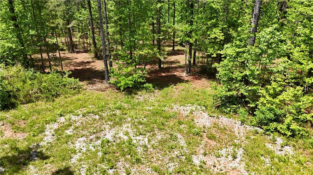 1 Wilson Road Temple, GA 30179 - Photo 85 of 88