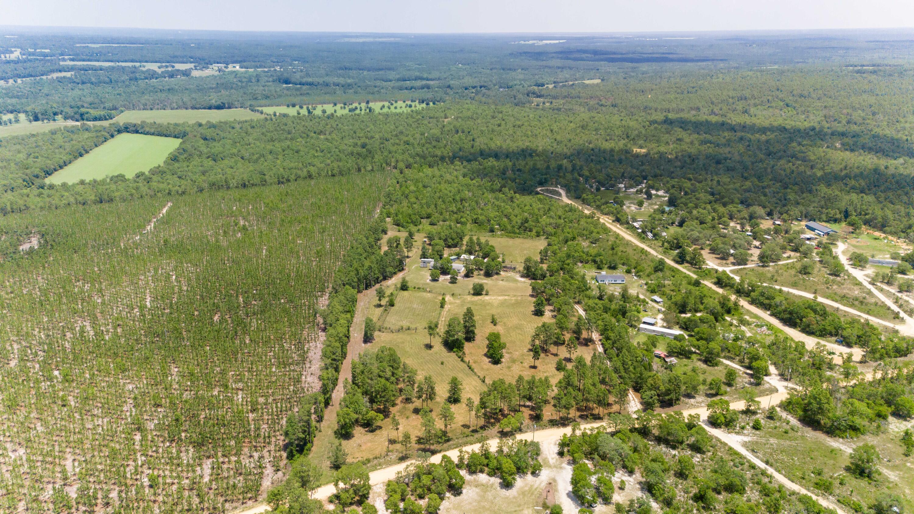 798 Big Branch Road Wagener, SC 29164 - Photo 4 of 63