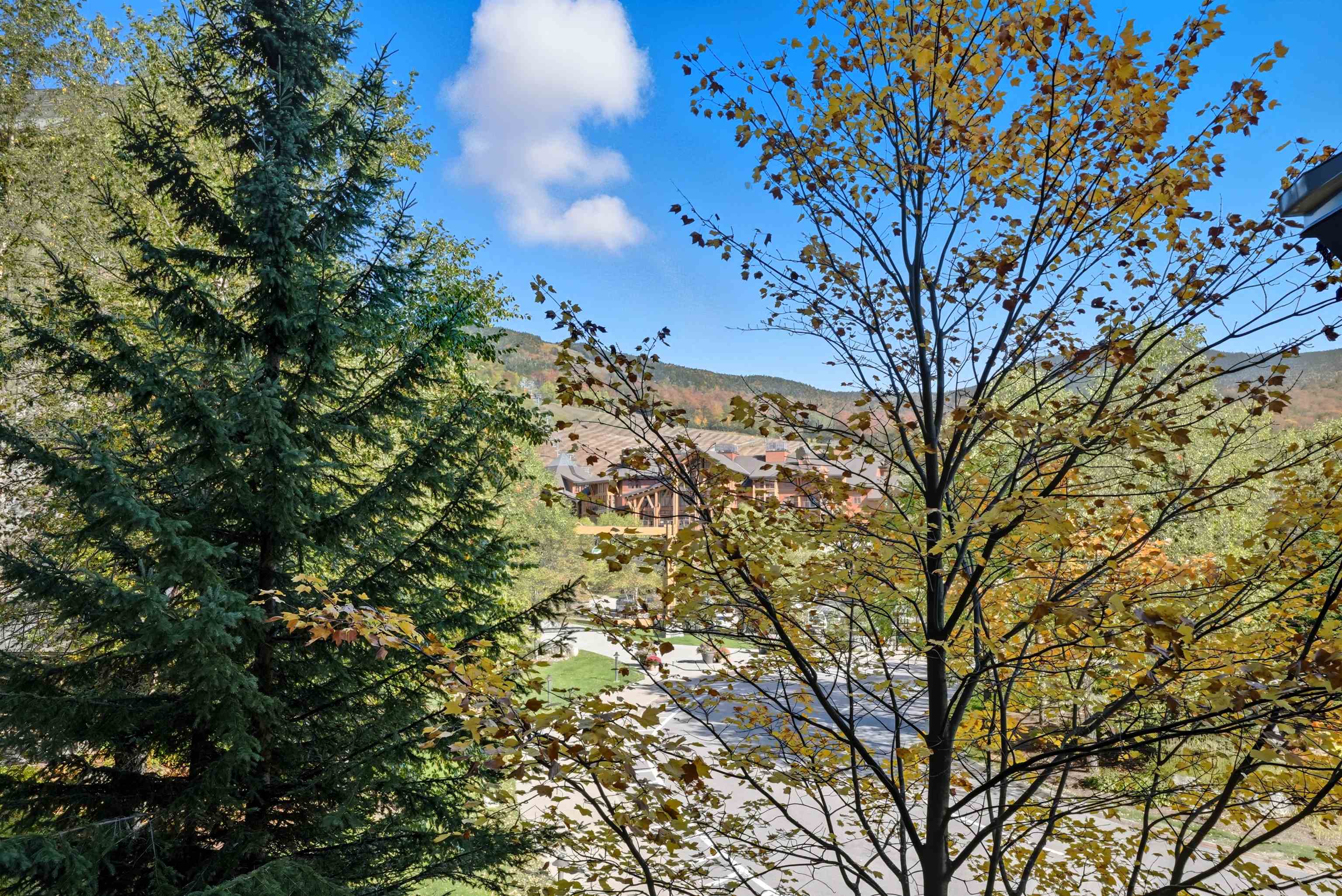 7412 Mountain Road, Unit 1228 Stowe, VT 05672 - Photo 20 of 21 Gallery Image 20