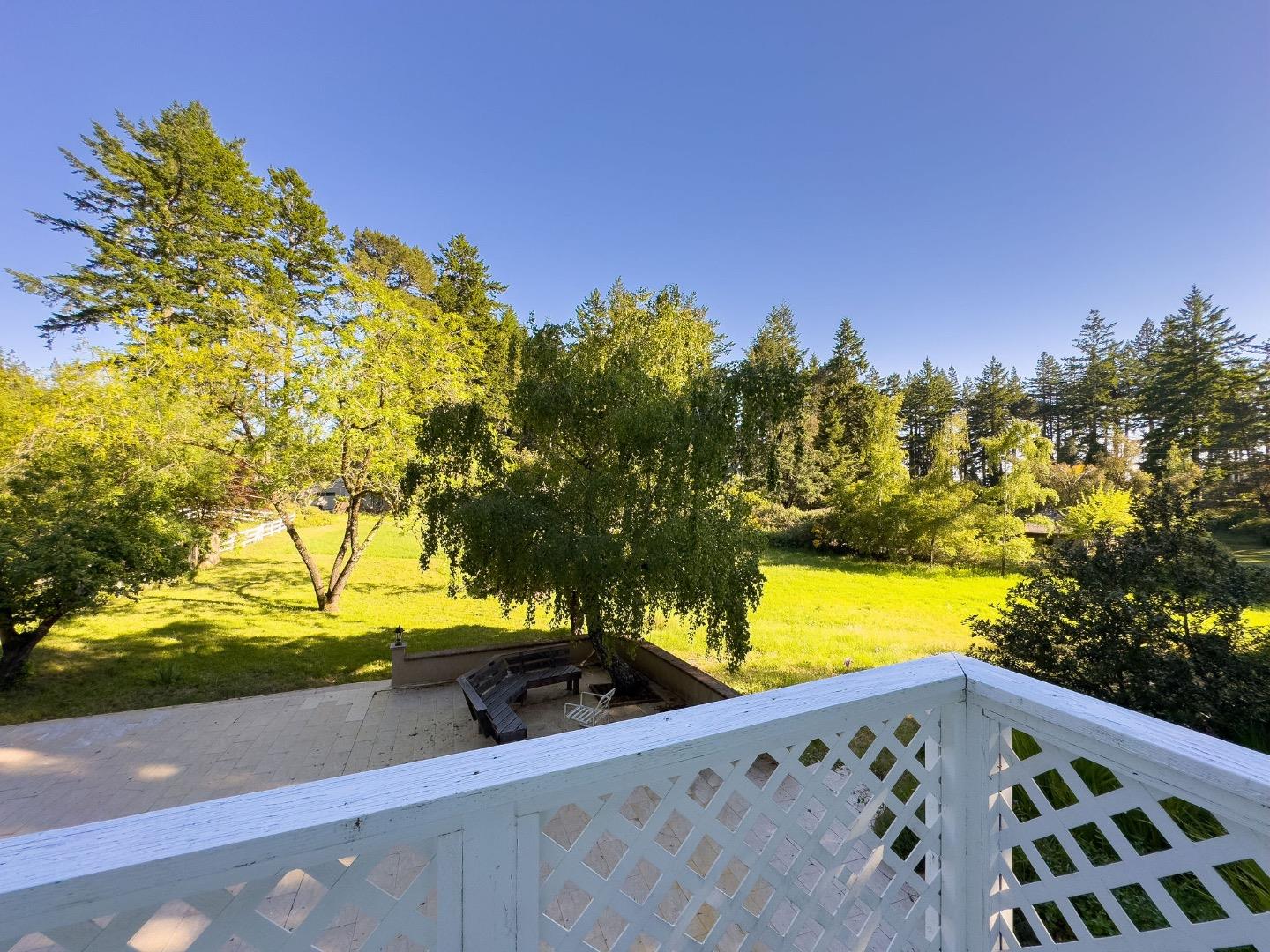 161 Ware Road Woodside, CA 94062 - Photo 49 of 52 a view of a yard with a tree