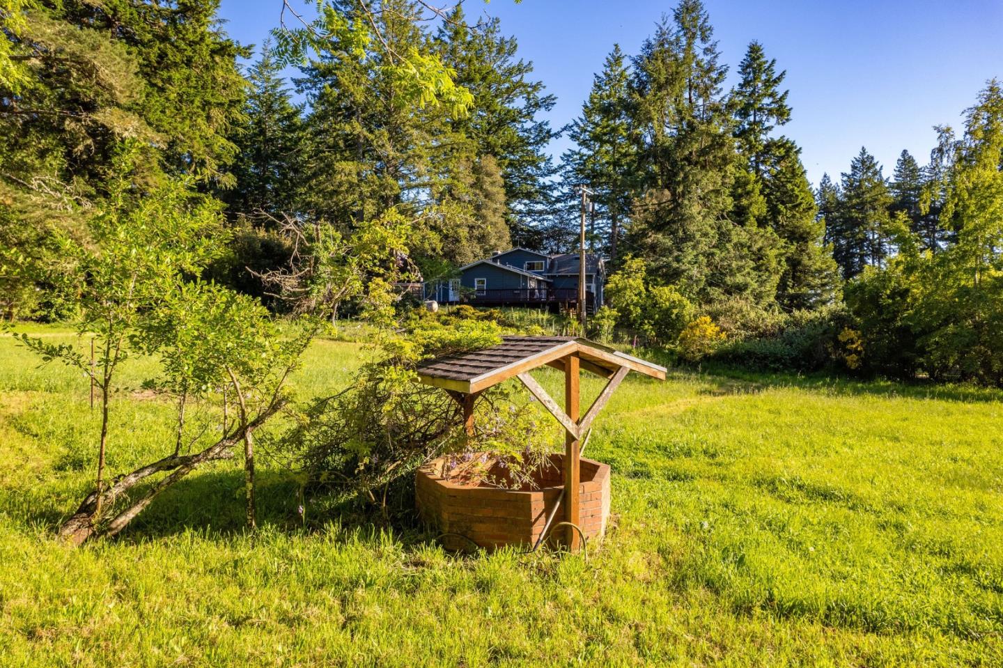 161 Ware Road Woodside, CA 94062 - Photo 7 of 52 a view of a yard