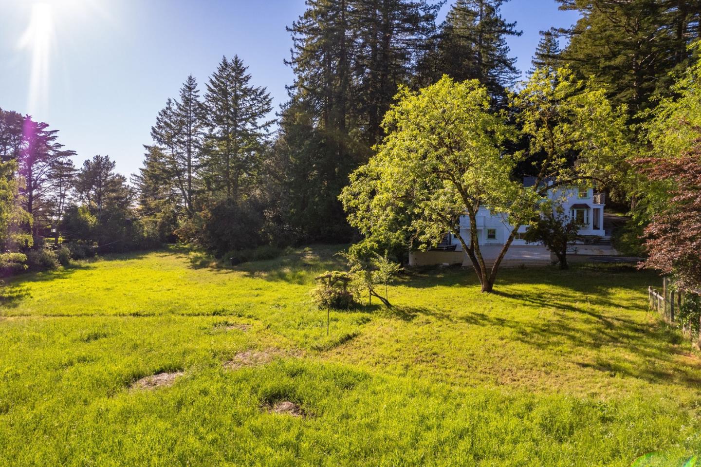 161 Ware Road Woodside, CA 94062 - Photo 8 of 52 a view of a yard with swimming pool