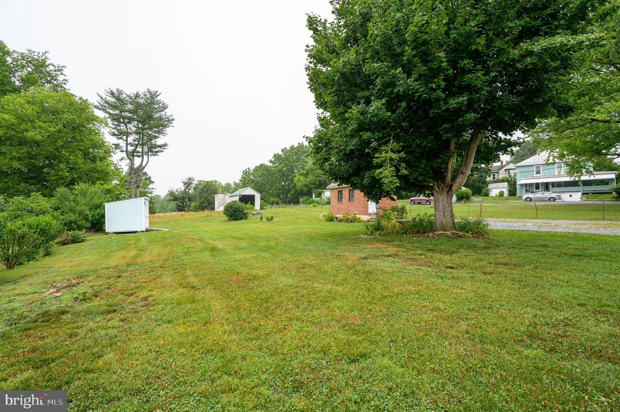 139 Bryarly Road Winchester, VA 22603 - Photo 72 of 76 Spacious green lot with mature trees.