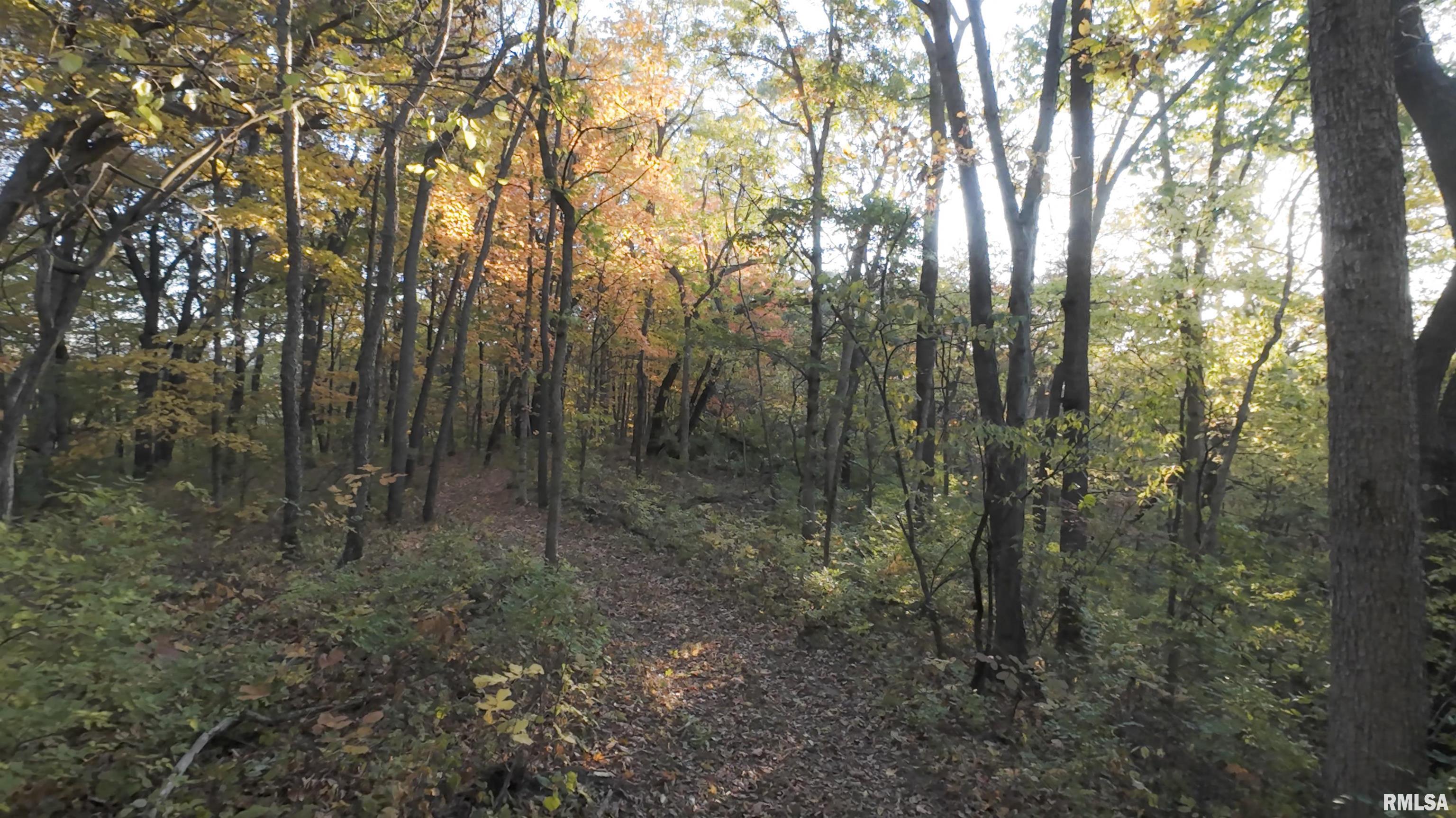 0 West Singing Woods Road Dunlap, IL 61525 - Photo 40 of 78 Gallery Image 40