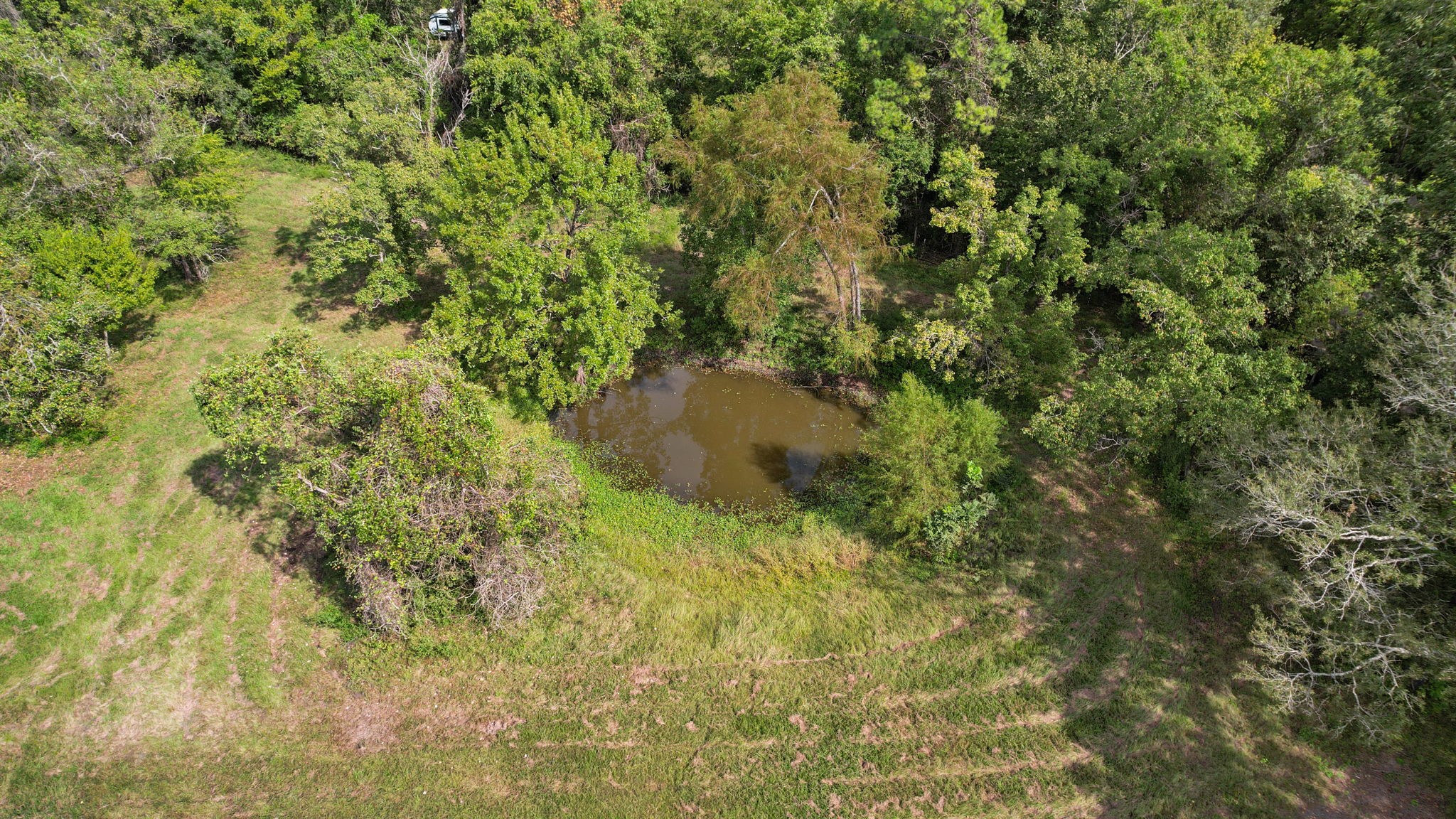 451 Langham Road Shepherd, TX 77371 - Photo 3 of 20 Gallery Image 3