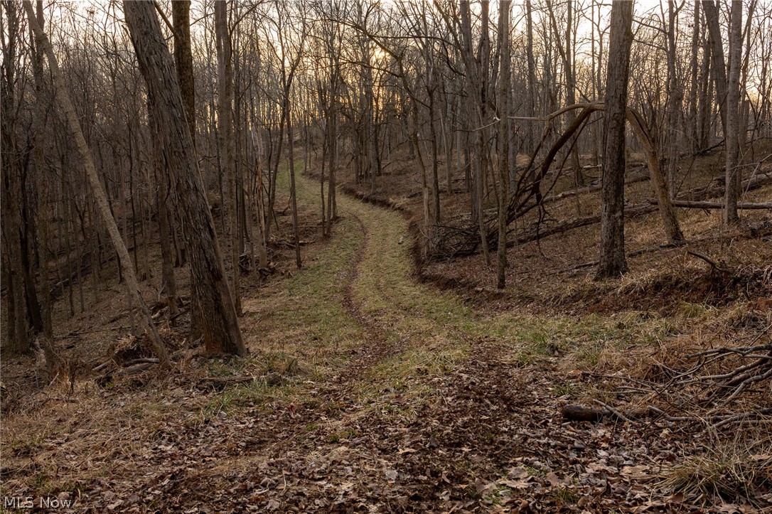 32290 Bailey Run Road Pomeroy, OH 45769 - Photo 24 of 41