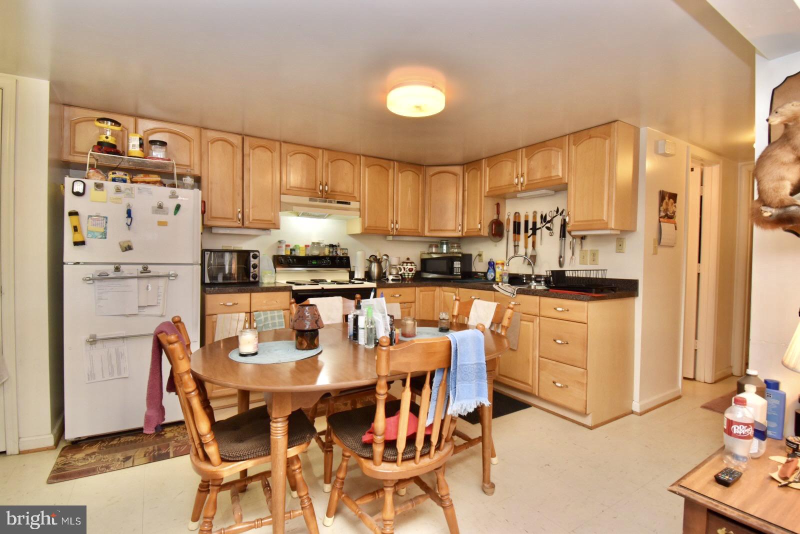 60 Laing Road Front Royal, VA 22630 - Photo 22 of 51 Kitchen #2 - Lower Level