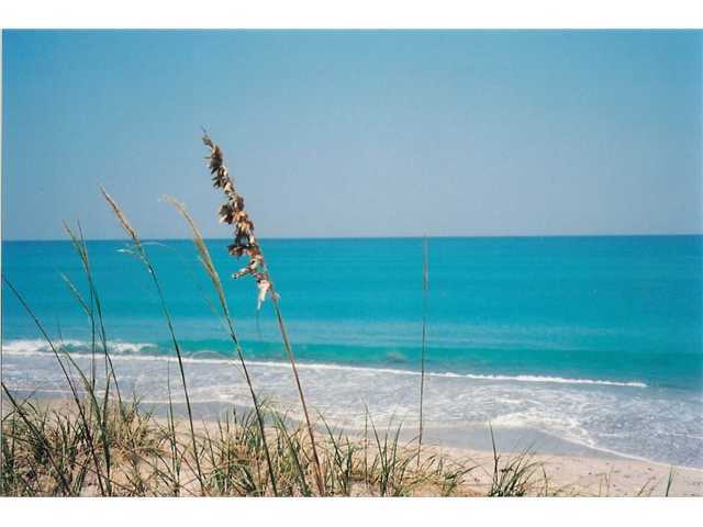 5565 Spanish River Road Fort Pierce, FL 34951 - Photo 11 of 12 a view of a backyard