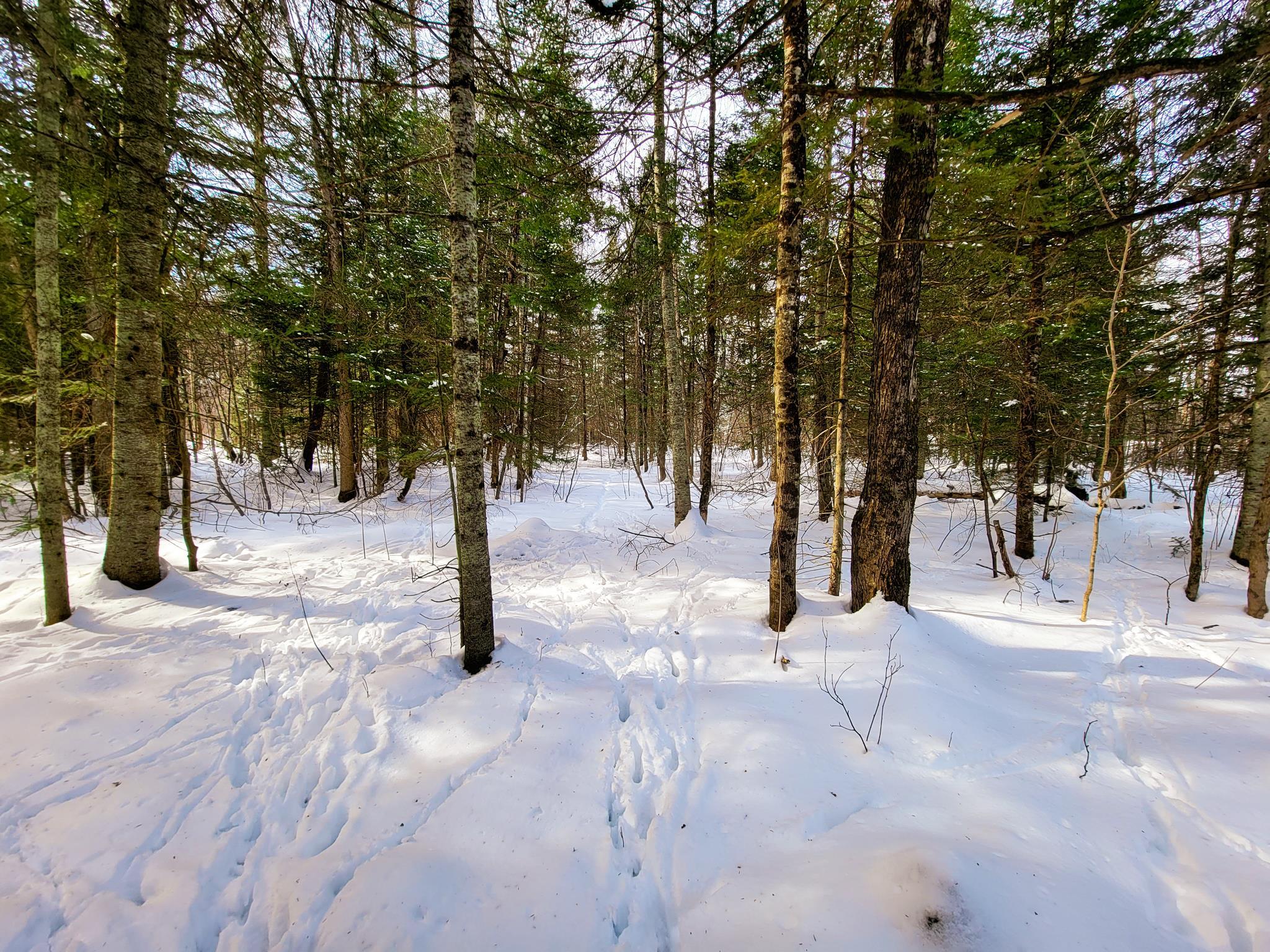 3320 East Charleston Road Derby, VT 05829 - Photo 13 of 40