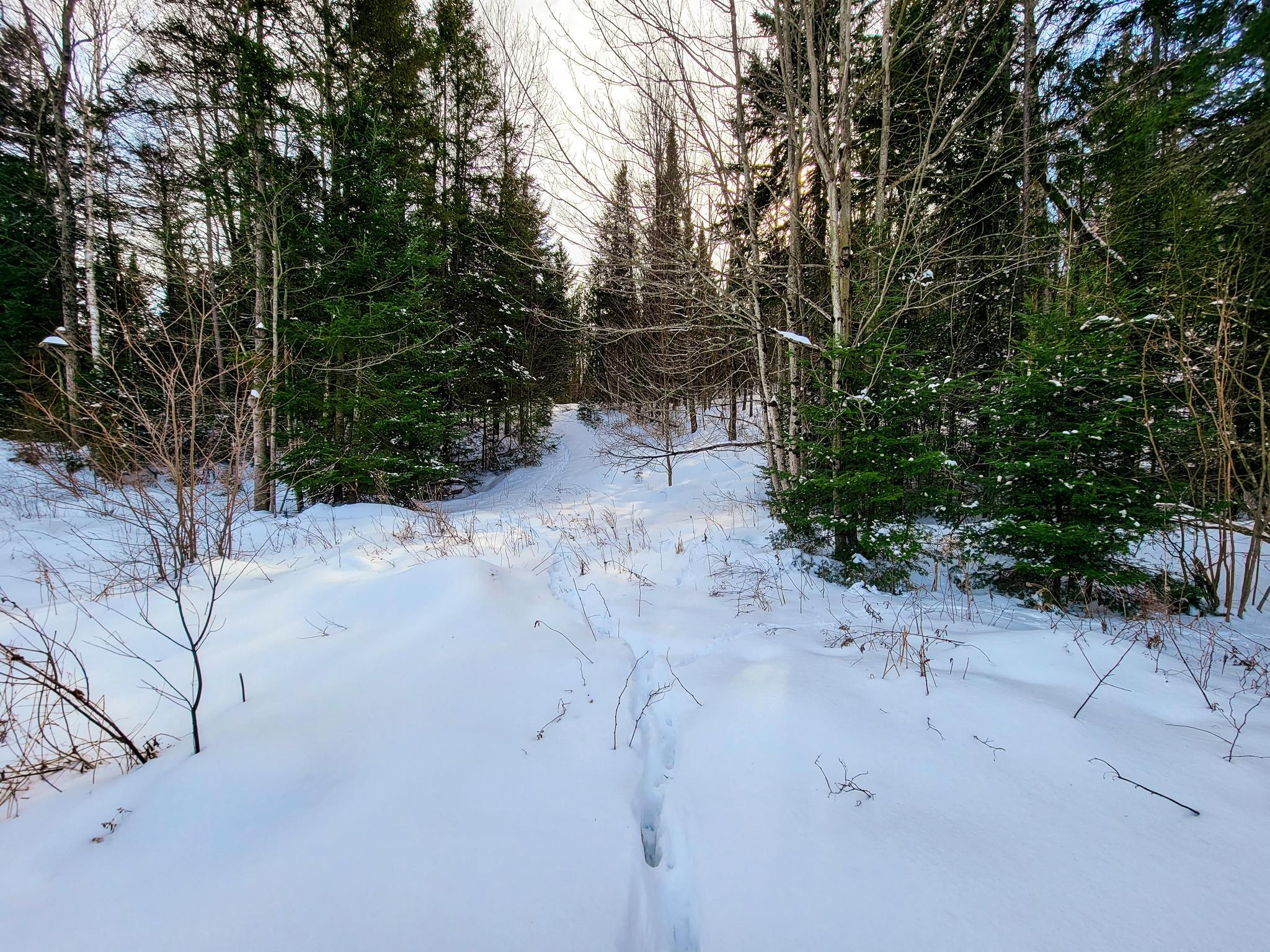3320 East Charleston Road Derby, VT 05829 - Photo 22 of 40