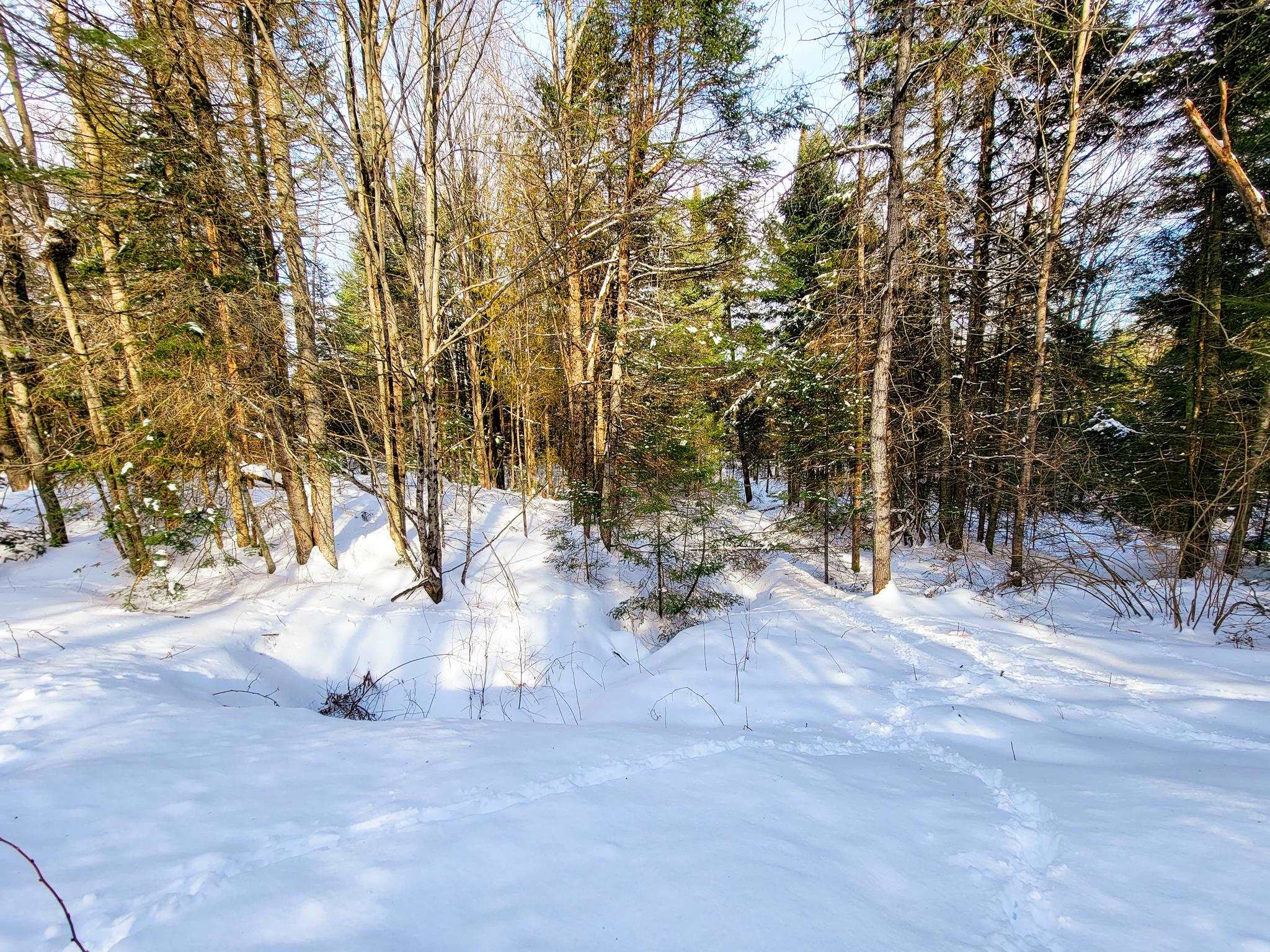 3320 East Charleston Road Derby, VT 05829 - Photo 29 of 40