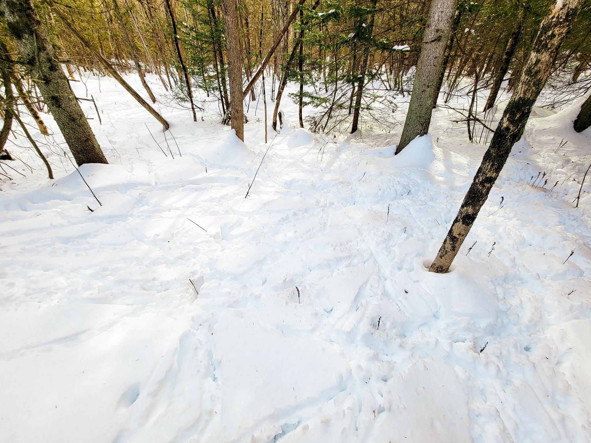 3320 East Charleston Road Derby, VT 05829 - Photo 5 of 40