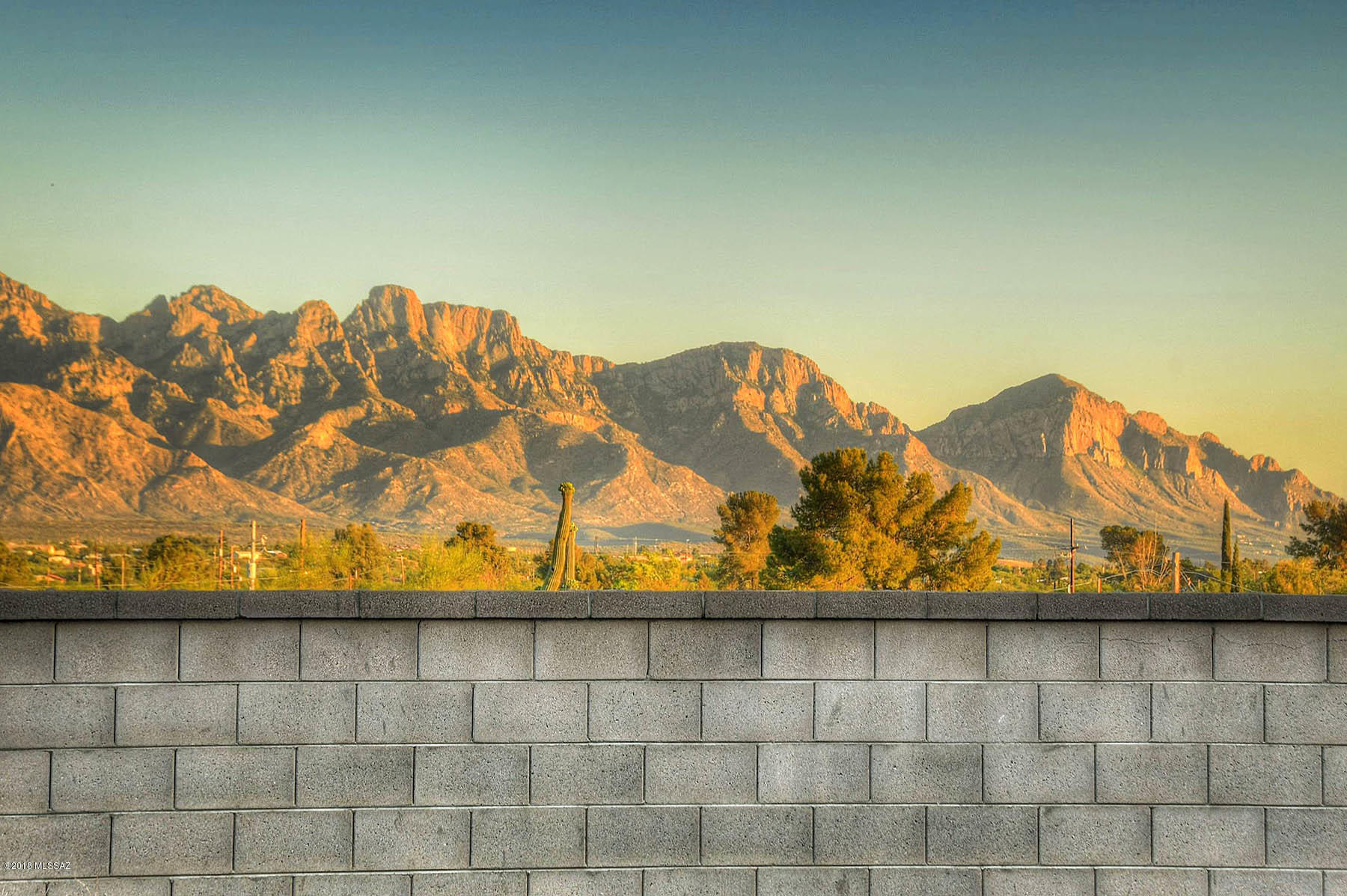 60559 East Blackcrest Loop Tucson, AZ 85739 - Photo 29 of 33