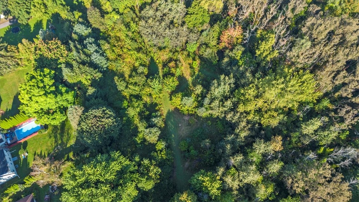 0 Whittier Road Ogden, NY 14559 - Photo 3 of 4