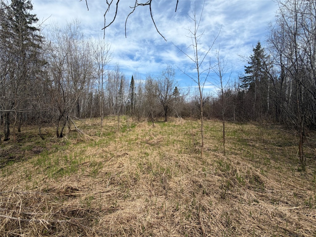 0 State Highway 13 Maple, WI 54854 - Photo 6 of 13