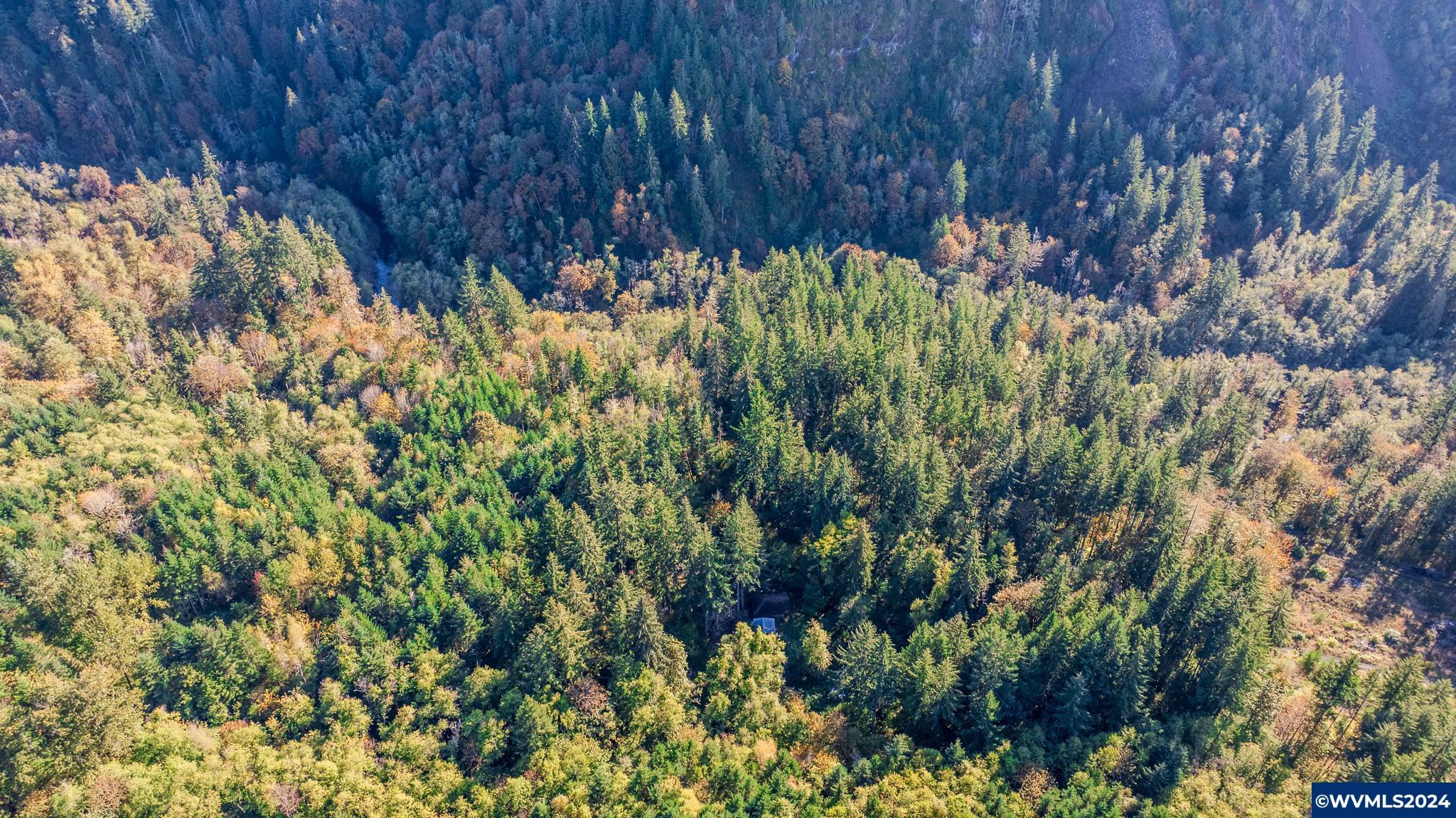 0 Abiqua Road Scotts Mills, OR 97375 - Photo 11 of 12