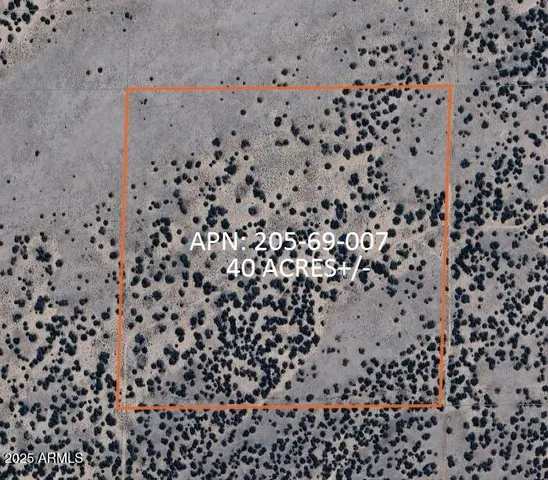 a view of a dry yard with a tree