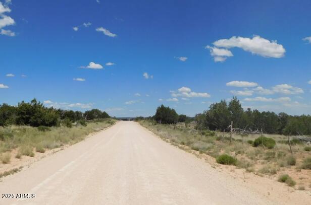 1741 County Road St. Johns, AZ 85936 - Photo 5 of 10 a view of a dry yard with a tree