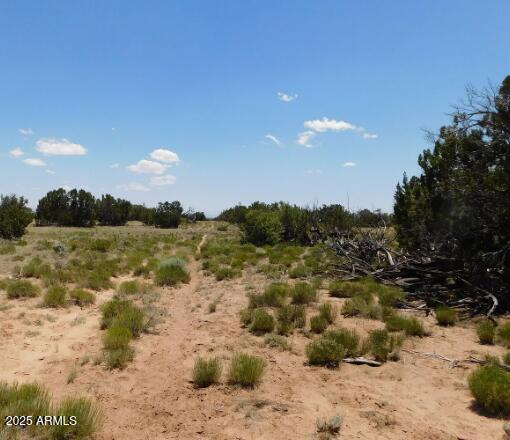 1741 County Road St. Johns, AZ 85936 - Photo 6 of 10 a view of a lake with a mountain