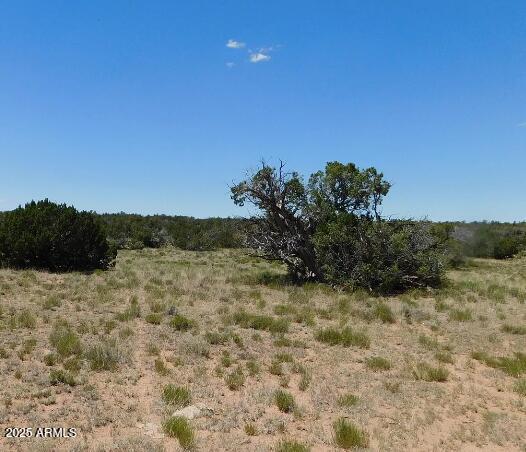 1741 County Road St. Johns, AZ 85936 - Photo 7 of 10 a view of a dry yard with wooden fence