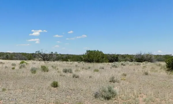 a view of lake and green space