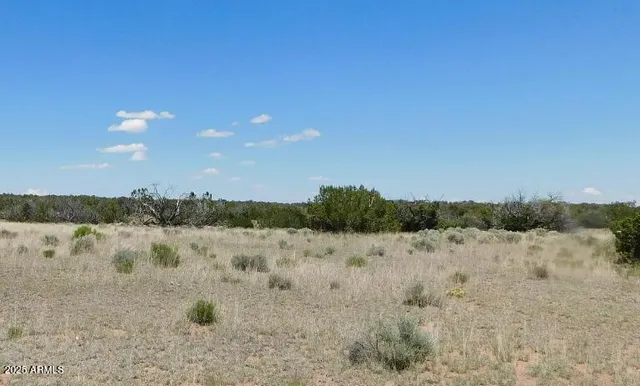 a view of lake and green space