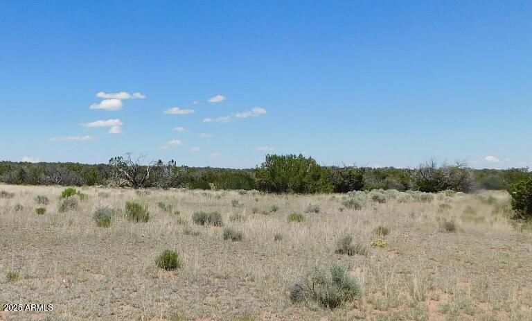 1741 County Road St. Johns, AZ 85936 - Photo 8 of 10 a view of lake with mountain