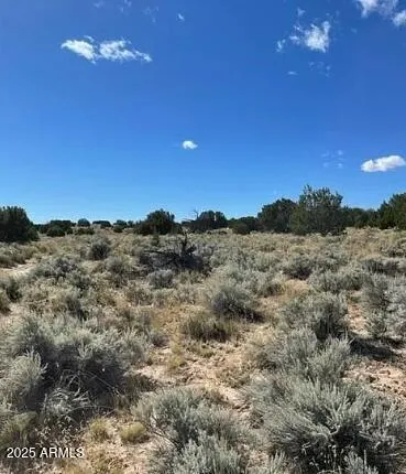 $21,947 | 1741 County Road, St. Johns, AZ 85936