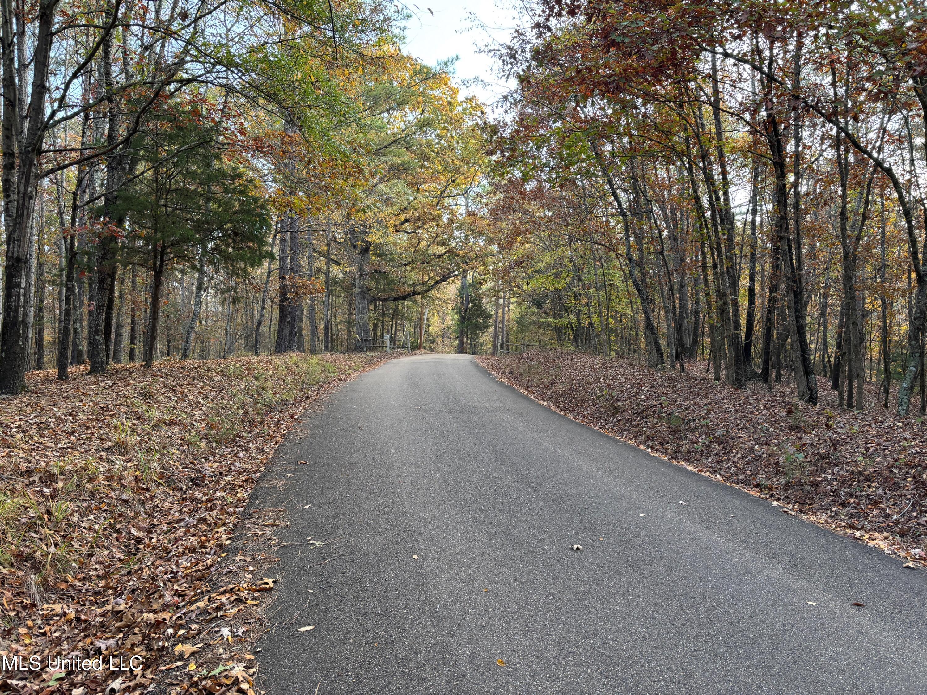 413 County Road Oxford, MS 38655 - Photo 12 of 14 IMG_5717