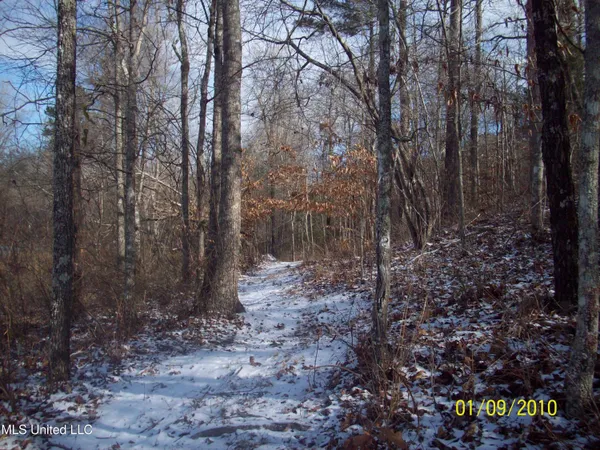 $1,250,000 | 413 County Road, Oxford, MS 38655