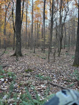 $1,250,000 | 413 County Road, Oxford, MS 38655