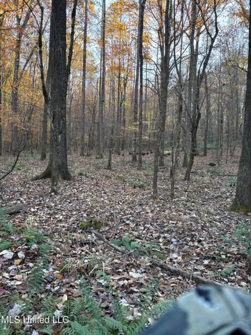 $1,250,000 | 413 County Road, Oxford, MS 38655