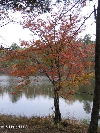 $1,250,000 | 413 County Road, Oxford, MS 38655