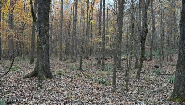 $1,250,000 | 413 County Road, Oxford, MS 38655