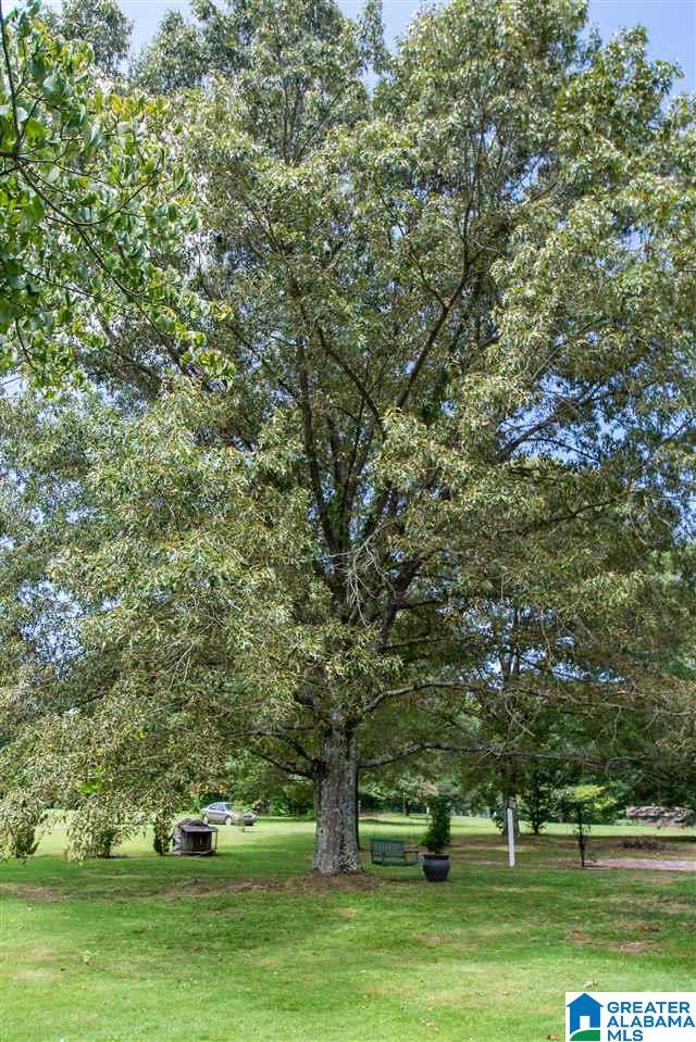 7100 Taylors Ferry Road Bessemer, AL 35023 - Photo 33 of 35