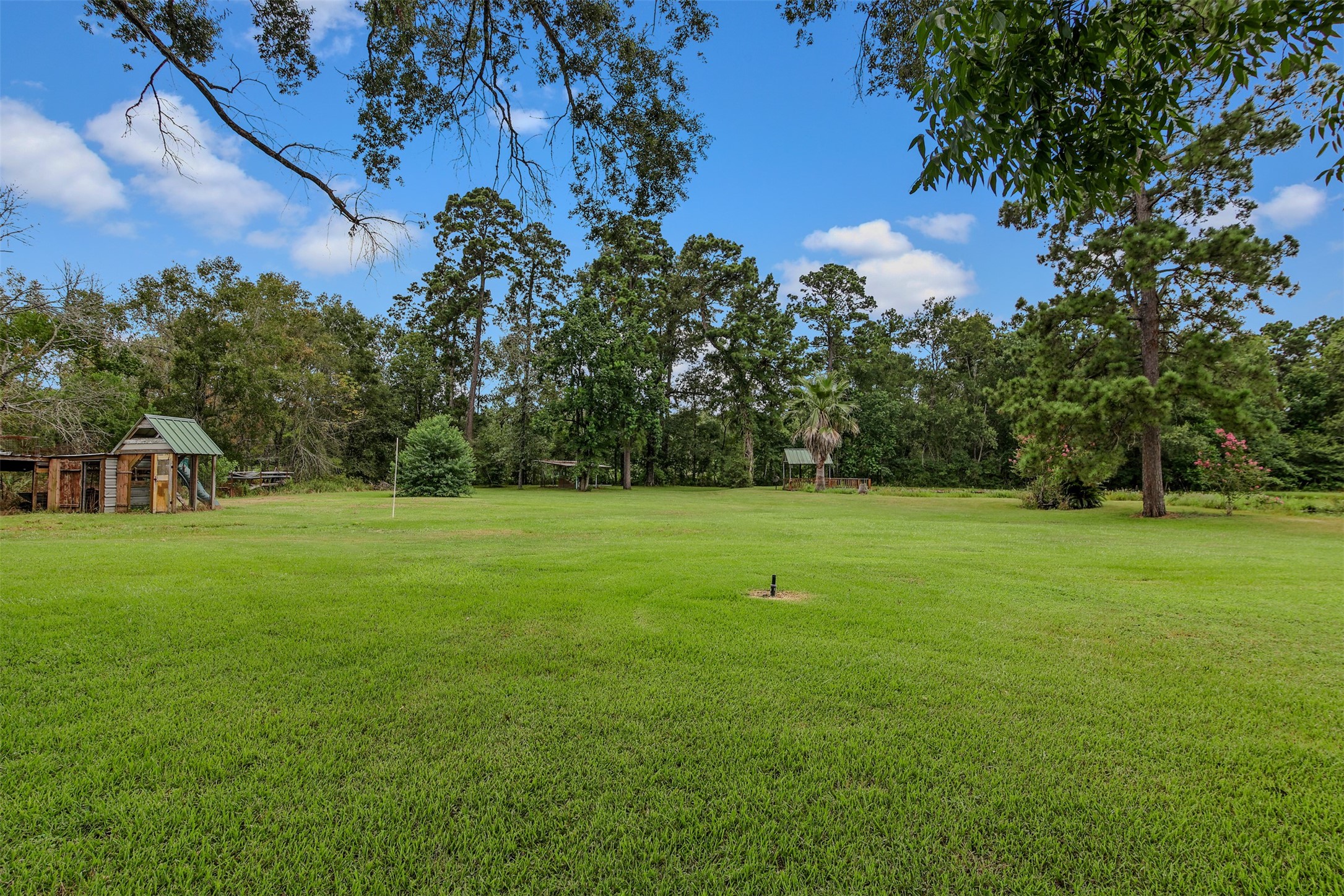 11692 Clark Lane Conroe, TX 77385 - Photo 27 of 35 The green space is endless with this property. Plenty of room for the kids and pets to play.
