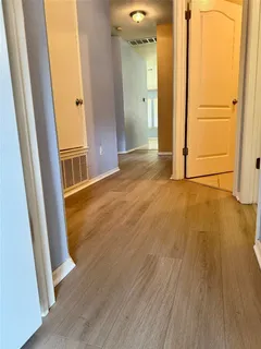 a view of a backyard with a garden and plants