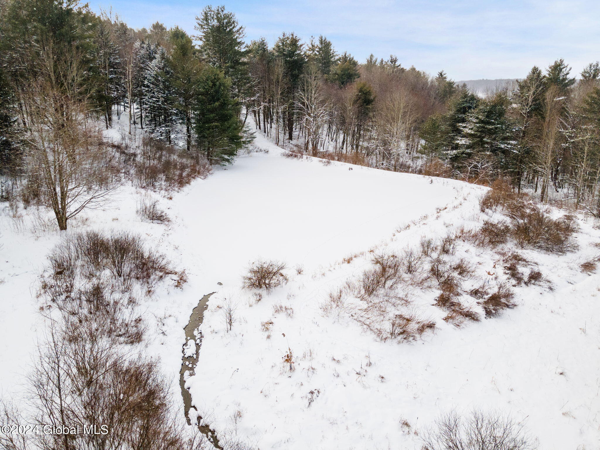 L30 Mud Lake Road Summit, NY 12175 - Photo 1 of 17 6-web-or-mls-MudLakeRd_06