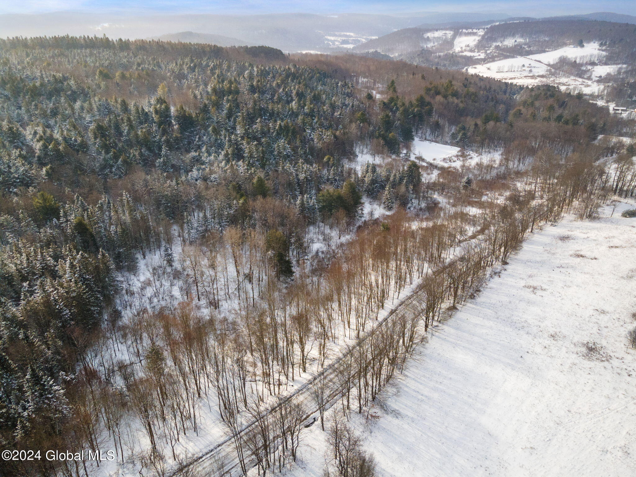 L30 Mud Lake Road Summit, NY 12175 - Photo 11 of 17 11-web-or-mls-MudLakeRd_11