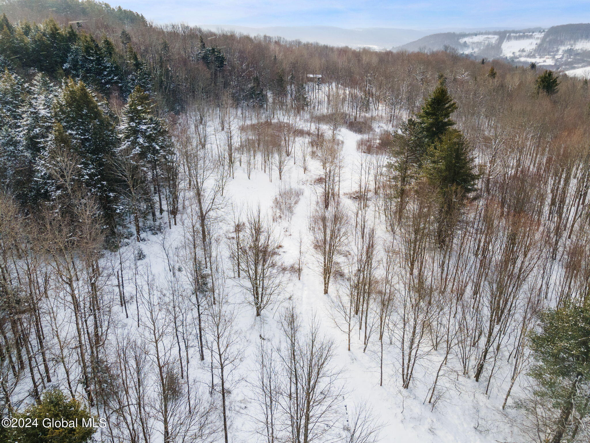 L30 Mud Lake Road Summit, NY 12175 - Photo 13 of 17 16-web-or-mls-MudLakeRd_16