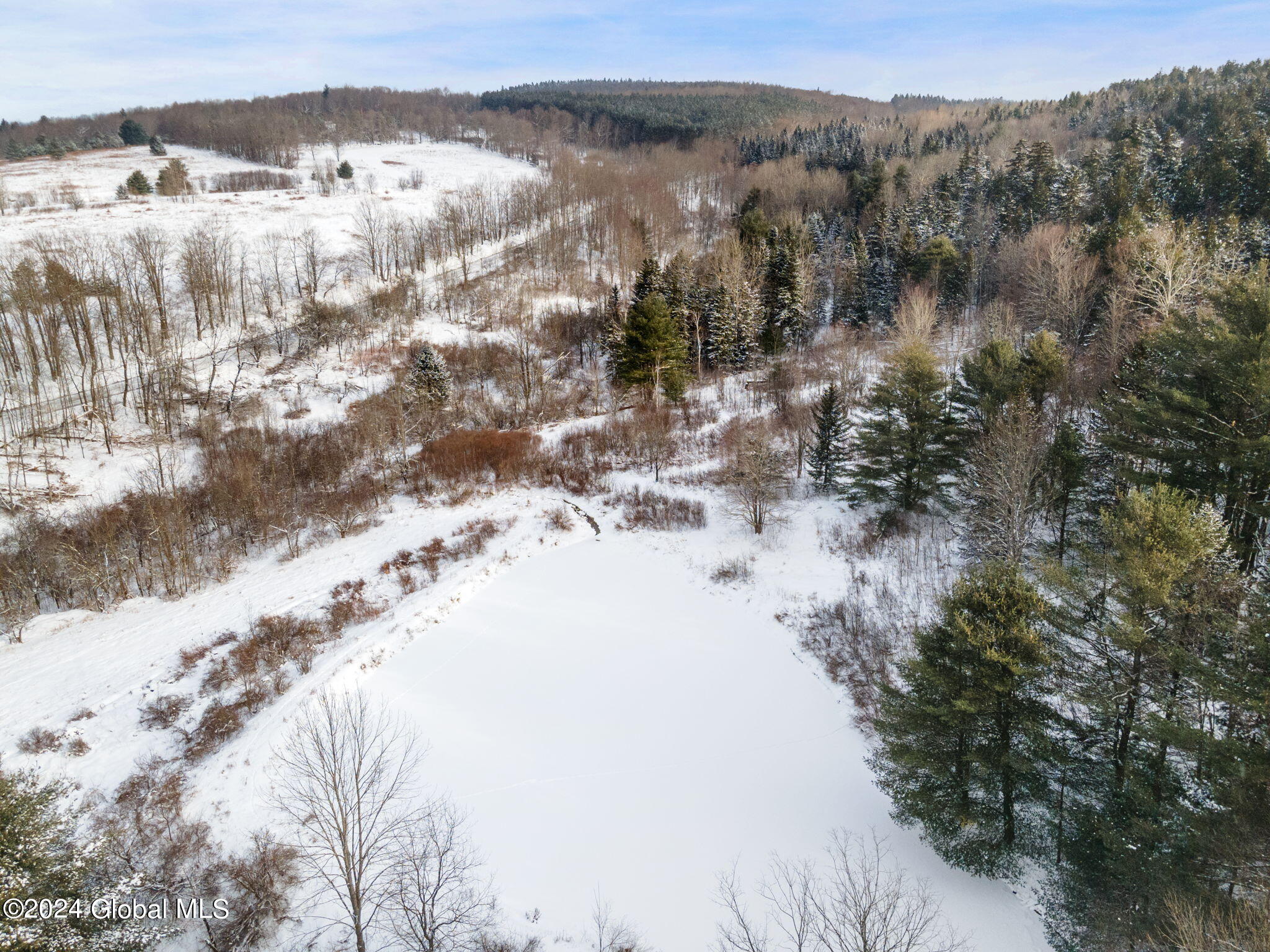 L30 Mud Lake Road Summit, NY 12175 - Photo 14 of 17 17-web-or-mls-MudLakeRd_17