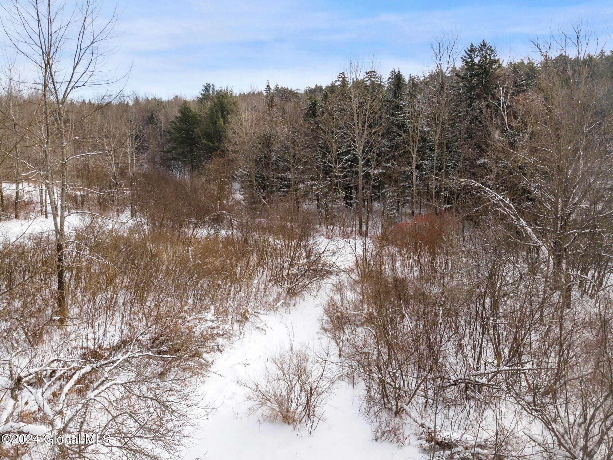 L30 Mud Lake Road Summit, NY 12175 - Photo 15 of 17 19-web-or-mls-MudLakeRd_19