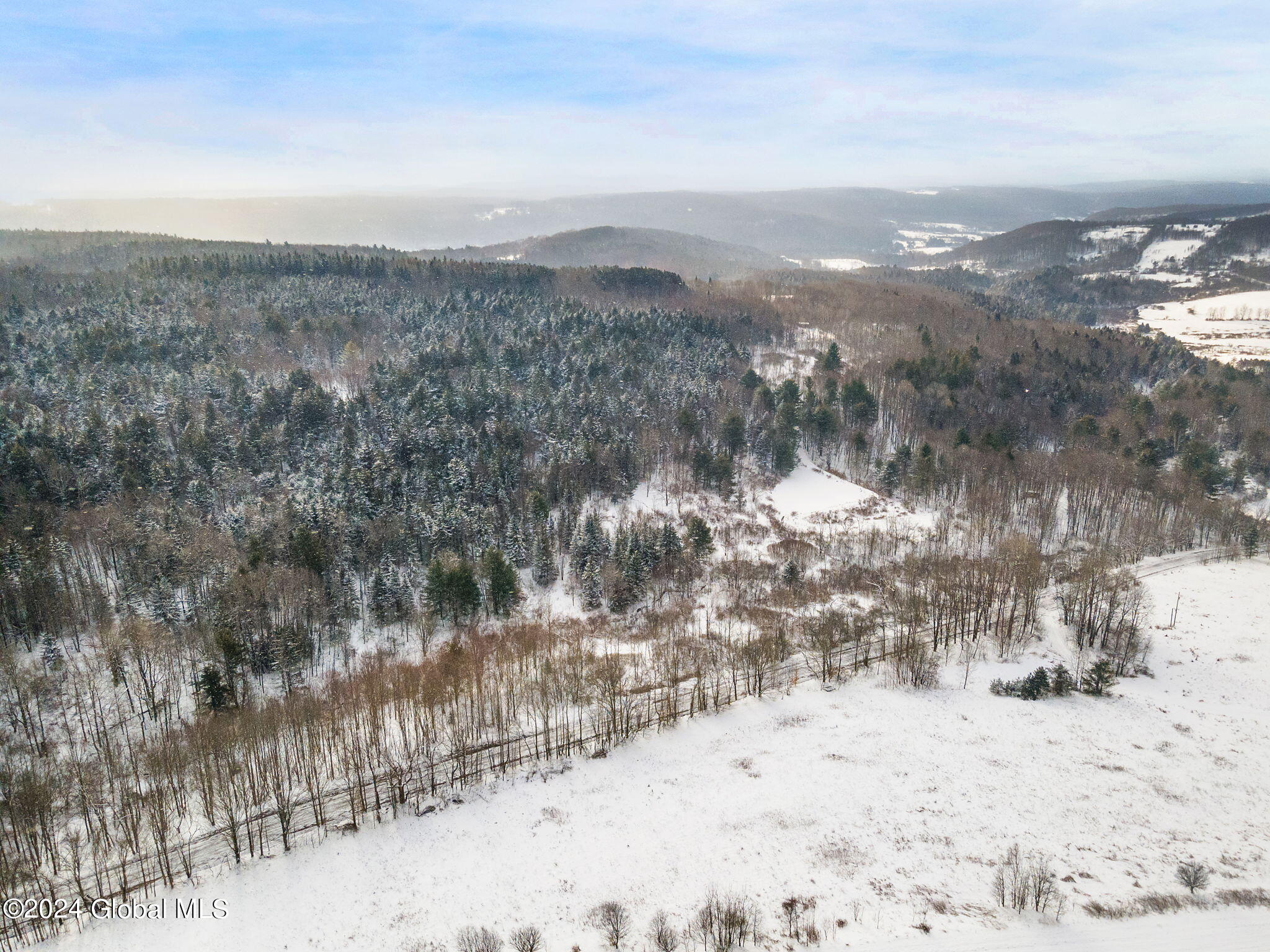 L30 Mud Lake Road Summit, NY 12175 - Photo 16 of 17 20-web-or-mls-MudLakeRd_20
