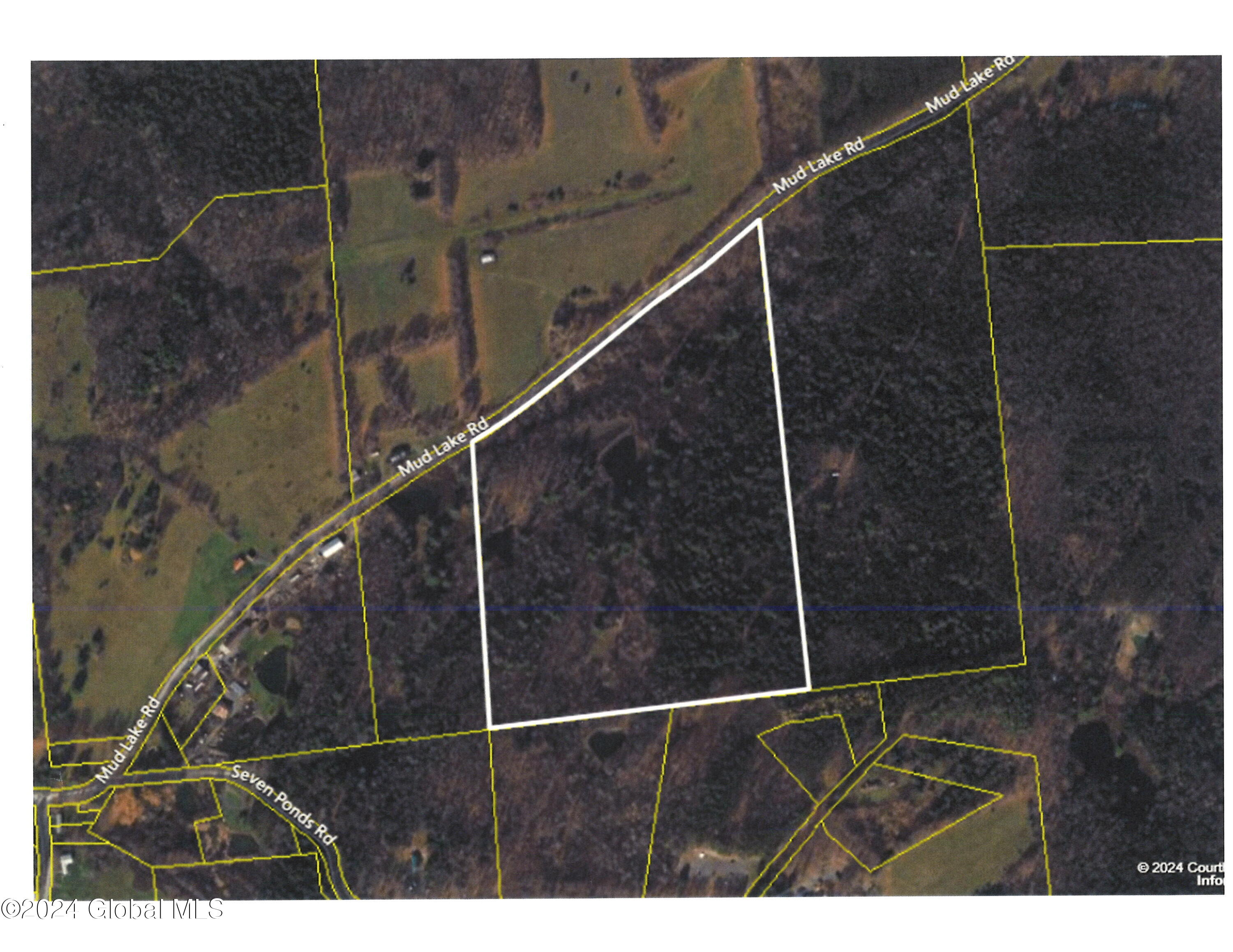 L30 Mud Lake Road Summit, NY 12175 - Photo 17 of 17 20240118092450_00001